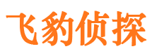 翠屏市婚外情调查